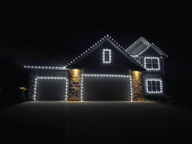 Window Warriors